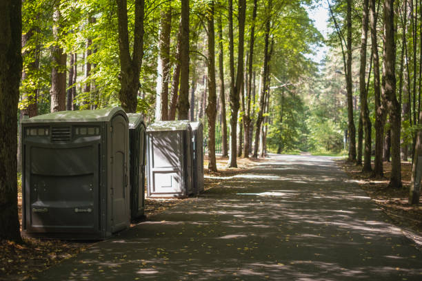 Best Porta potty rental for parties  in Rocky Mount, VA
